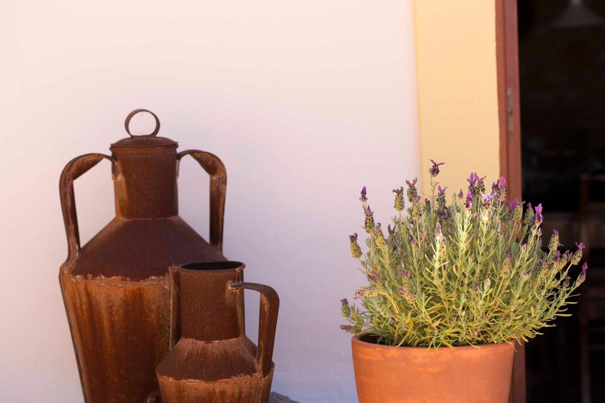 B&B Candelaria Corregos de Monte Seco Eksteriør billede